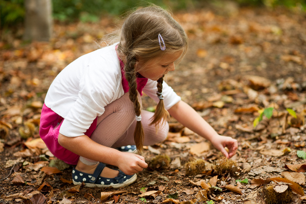 conkers