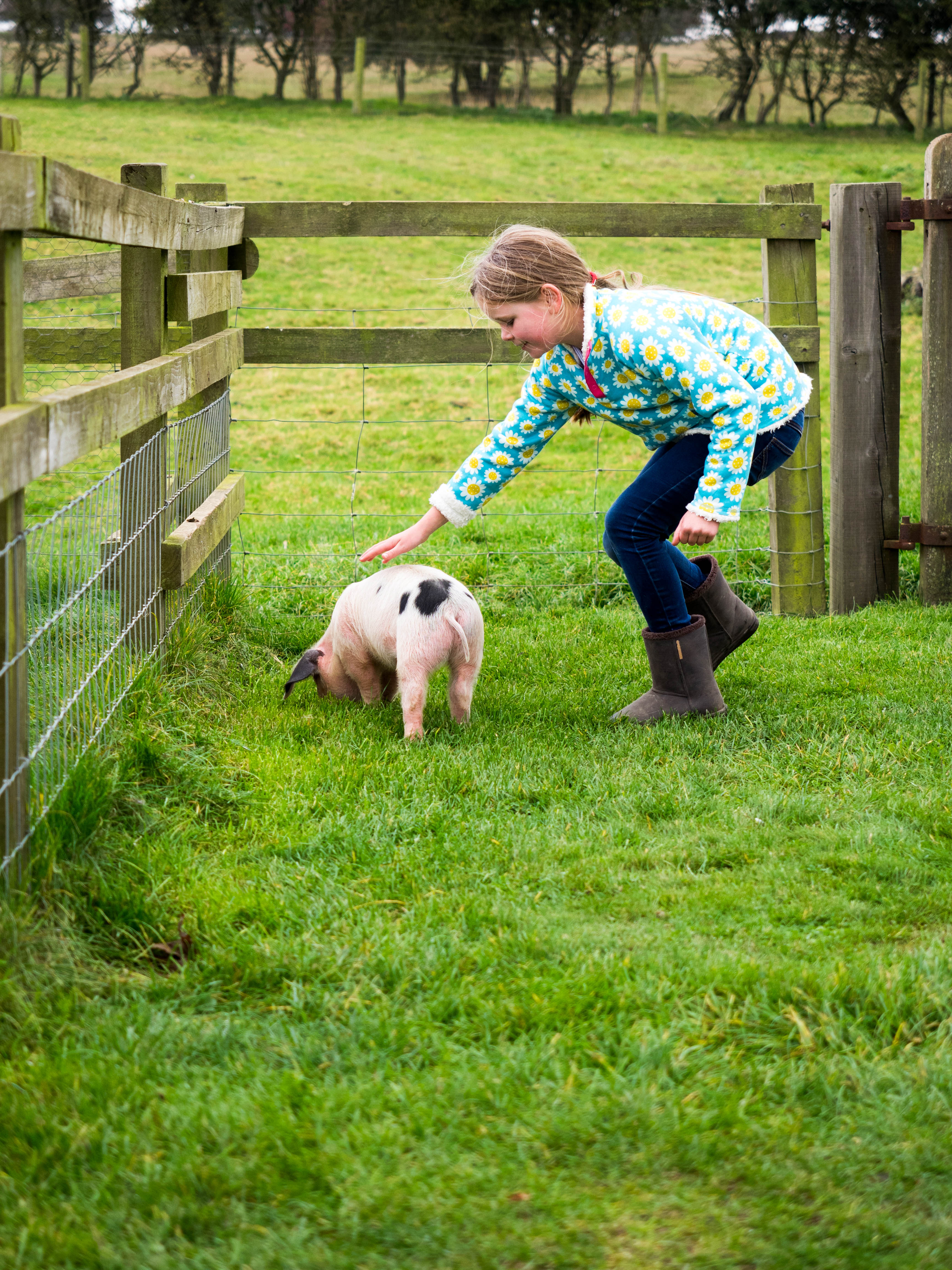 cotswolds-farm-park-1-2