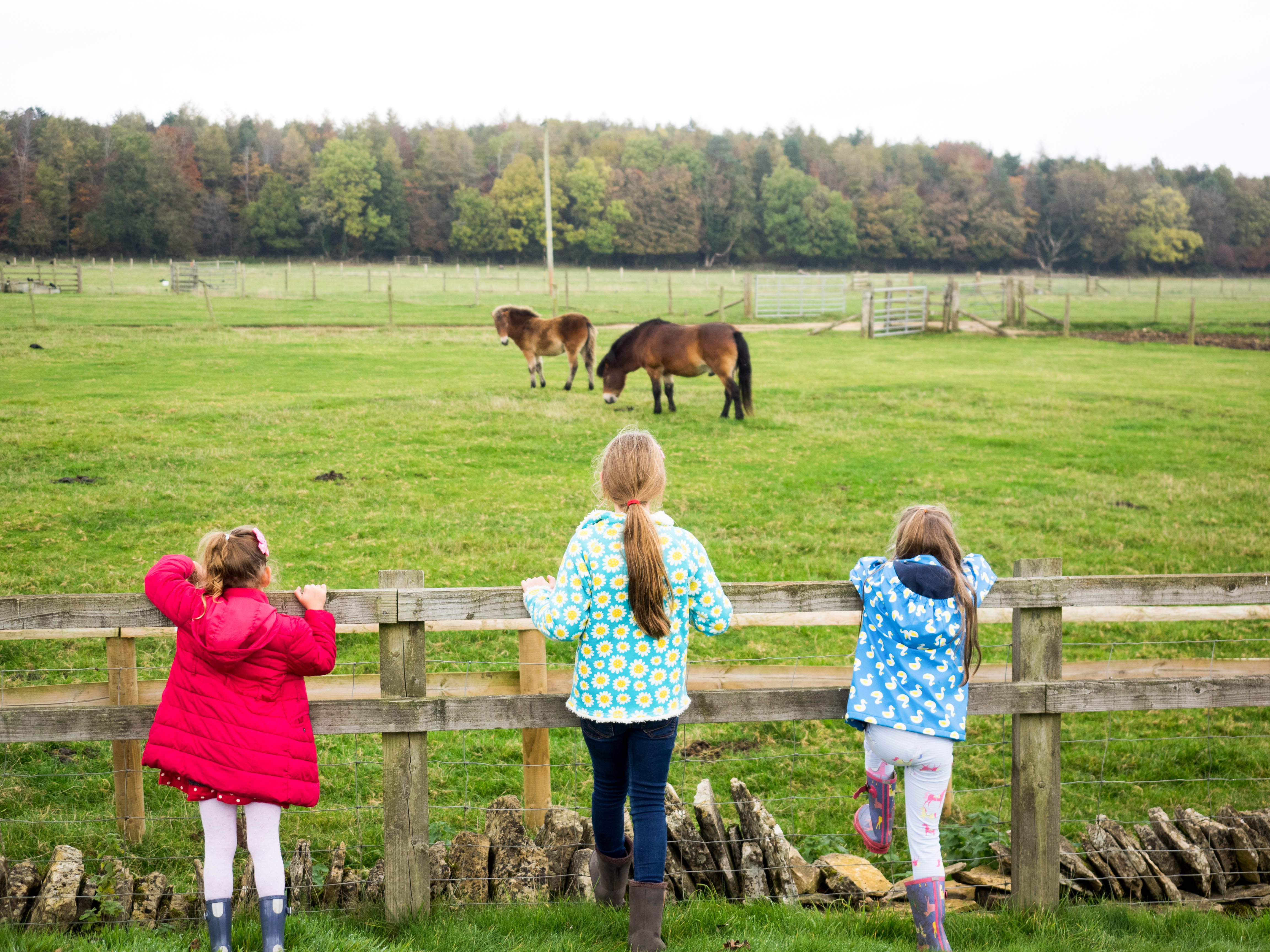 cotswolds-farm-park-1-7